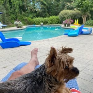 Meet your Posher, Christopher